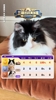 詹俊的猫神了😱！预测6场比赛100%胜率，法国、挪威全对